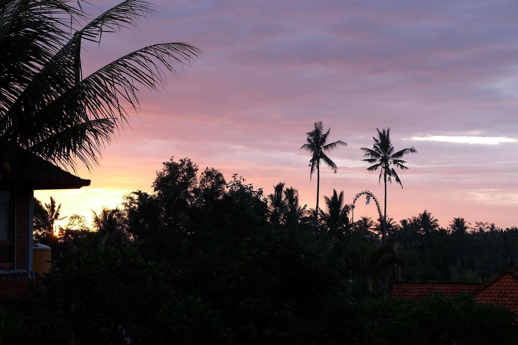 Ketut'S Place Bed & Breakfast Ubud Hotel Exterior photo