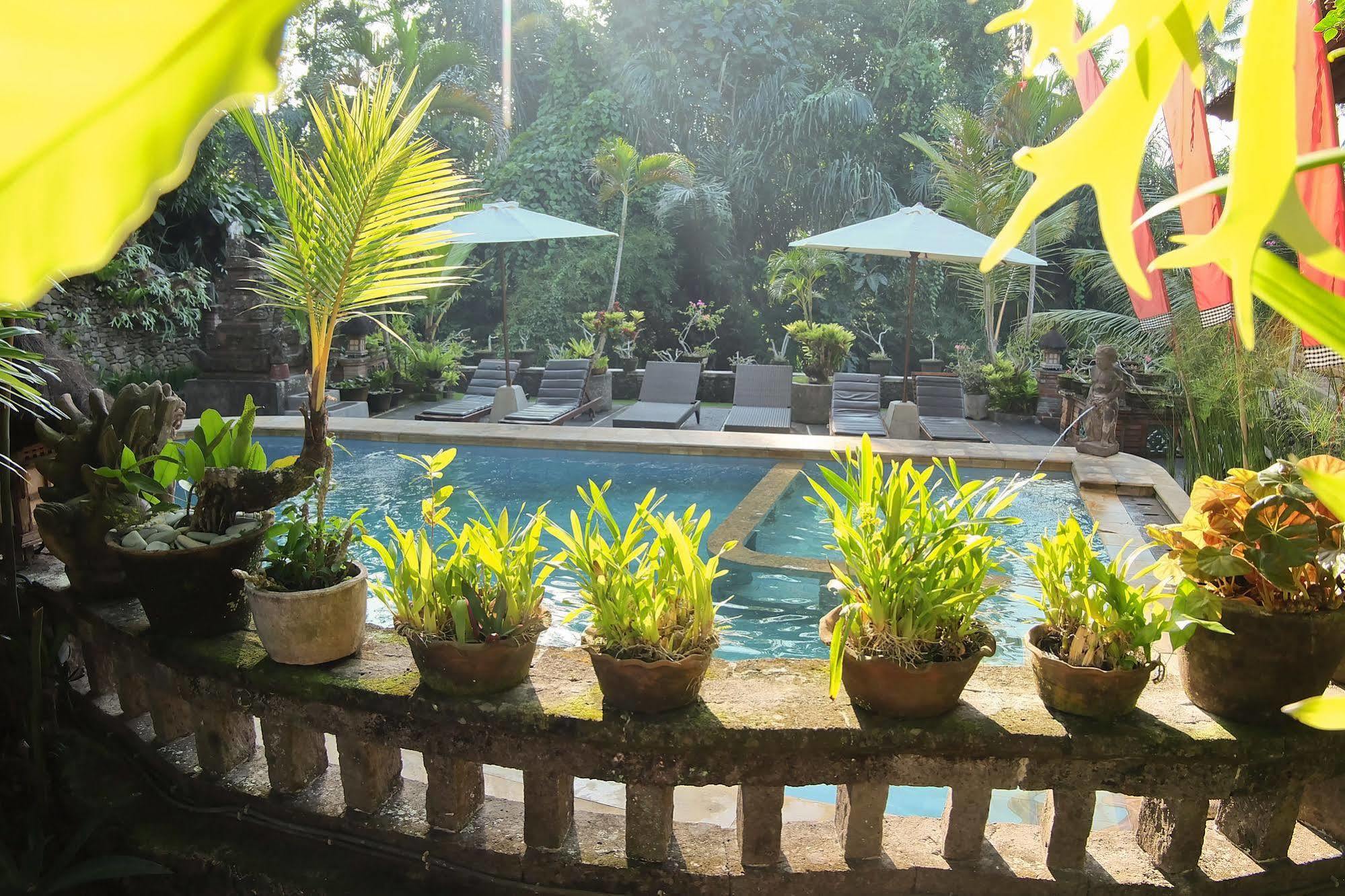 Ketut'S Place Bed & Breakfast Ubud Hotel Exterior photo